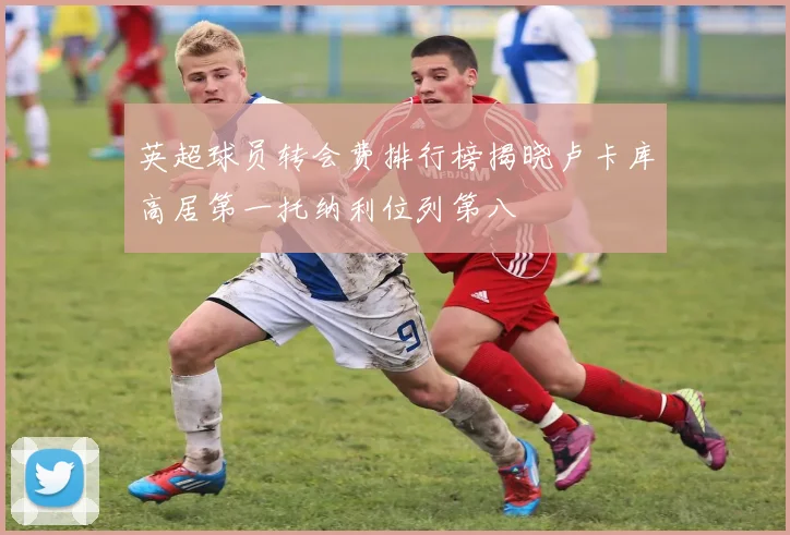 英超球员转会费排行榜揭晓卢卡库高居第一托纳利位列第八